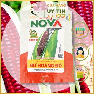 Hạt giống bắp ngọt Nữ Hoàng Đỏ Nova 50 hạt