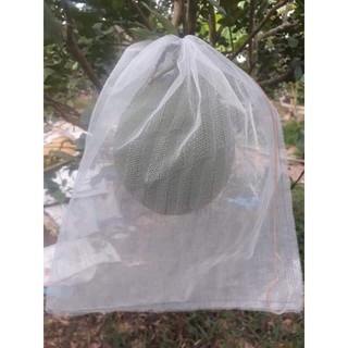 combo 10 cái bao bưởi, mãng cầu... vải lưới mùng