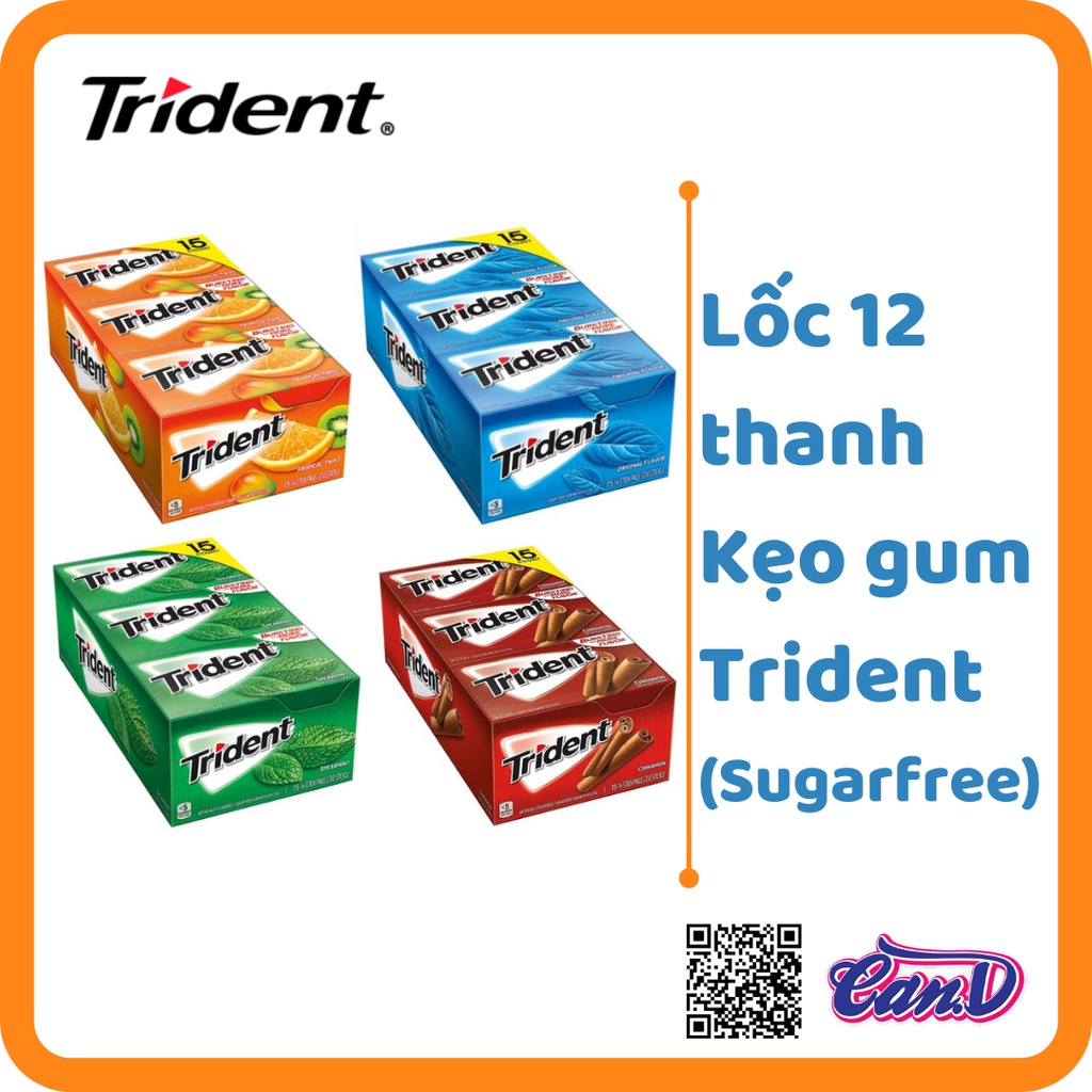 ( Bán sỉ ) Lốc 12 thanh Kẹo gum Trident (4 vị)