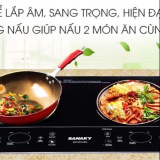 Bếp hồng ngoại đôi sanaky snk_201hgw