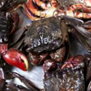 Ba khía muối nguyên con kèm nước sốt