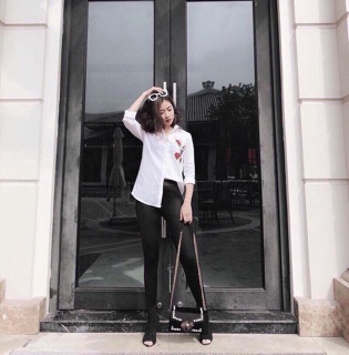 Combo thuỳ linh