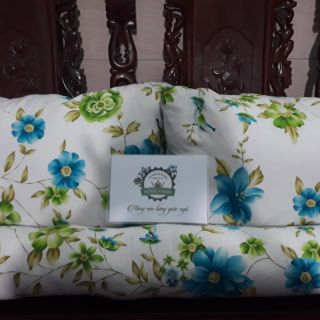 Bộ gối người lớn 2 nằm 40x60cm,1 ôm 1m có áo gối