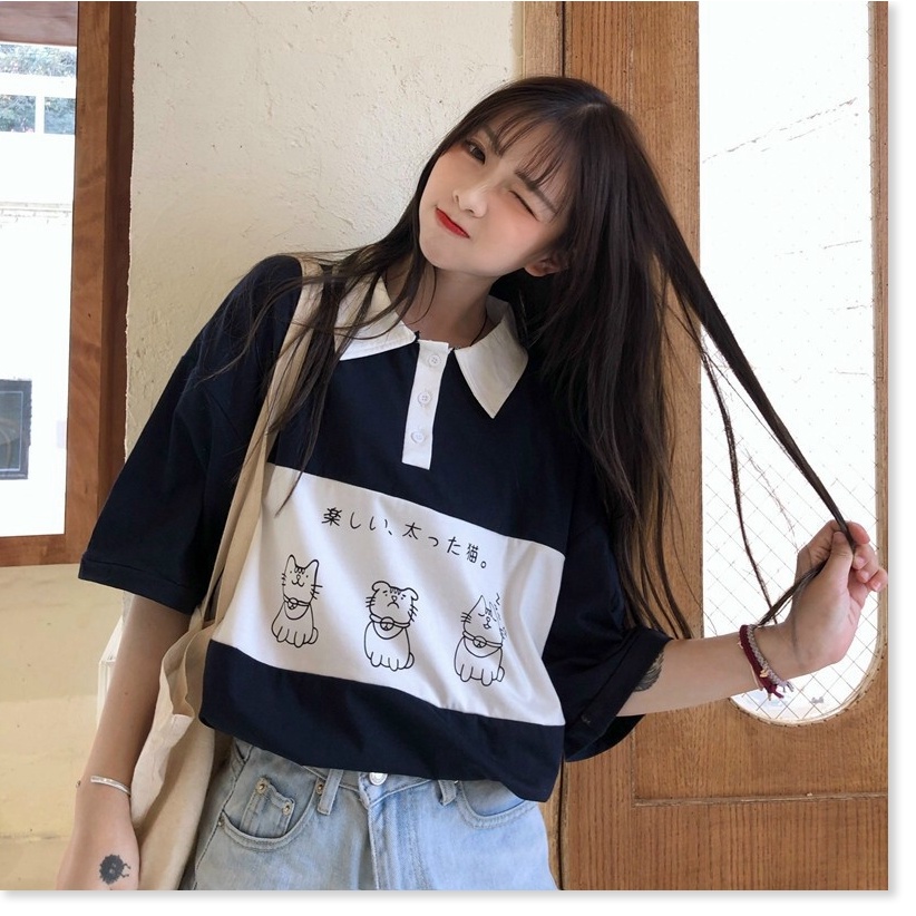 Áo thun nữ cổ bẻ form rộng tay lỡ mèo KUL