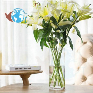 Bình bông lọ hoa thuỷ tinh dáng trụ tròn cao 40cm đường kính 12cm