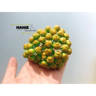 NỤ LAN HỒ ĐIỆP ĐẤT SÉT ( 50 NỤ)