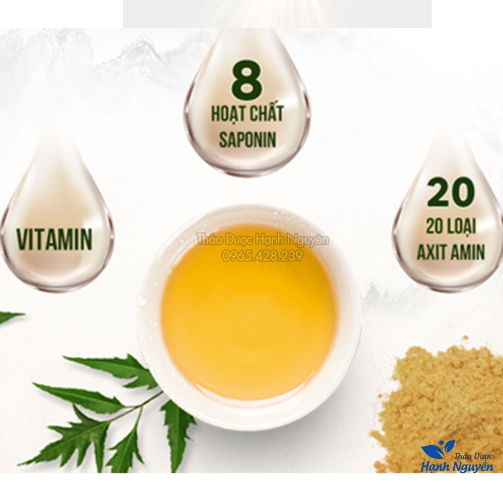 Lá đinh lăng khô 1kg (Trà đinh lăng thanh lọc cơ thể, hỗ trợ mất ngủ) - Thảo Dược Hạnh Nguyên