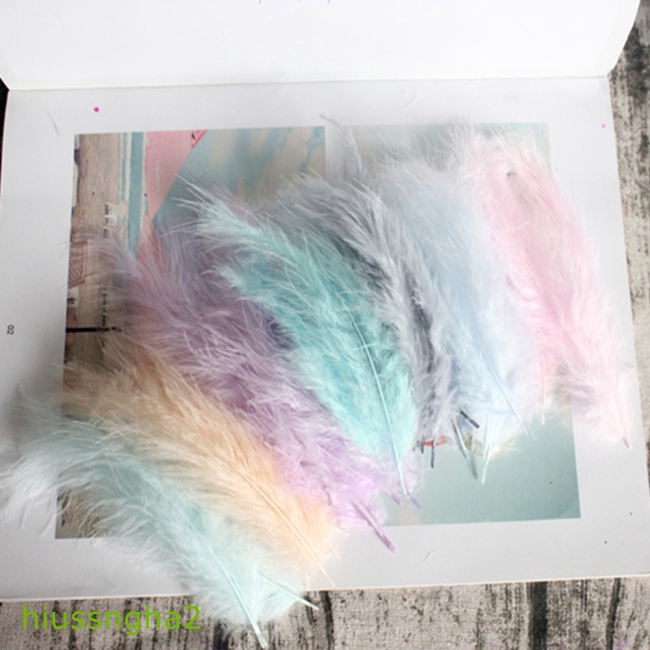 50 Lông Vũ Nhiều Màu Kích Thước 4-6 Inches10-15Cm Dùng Trang Trí Tiệc Cưới