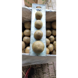 Quả la hán ( 10 trái nhỏ )