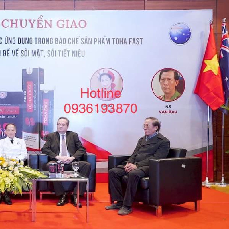 TOHA FAST Hộp 60 viên