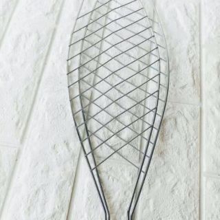 Vĩ nướng cá