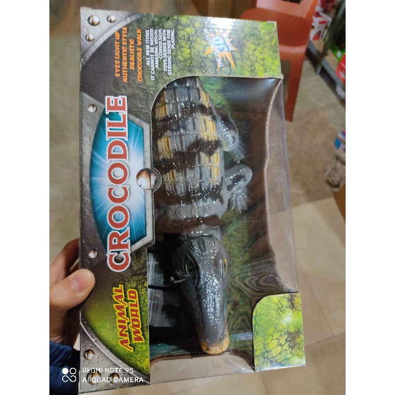 cá sấu pin dài khoảng 35cm