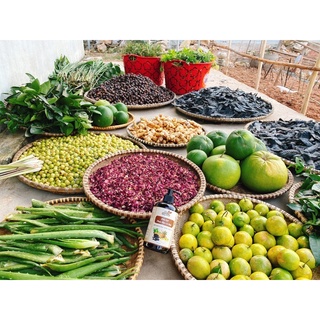 Dầu Gội Thảo Dược
