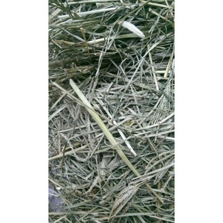 Cỏ mần trầu khô 1kg