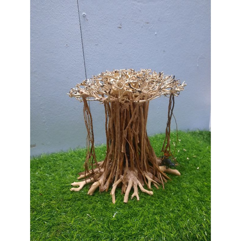 Lũa bonsai đa làng rễ rừng thả