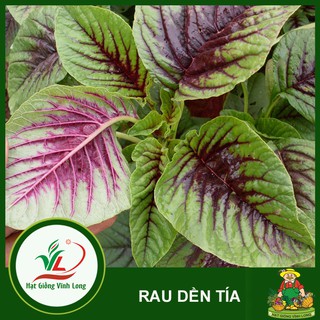 Hạt giống rau Dền tía RD 08 - 20g