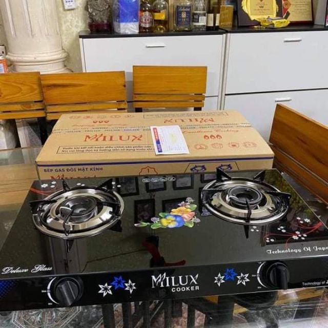 Bếp ga đôi mẫu mới nhất 2022