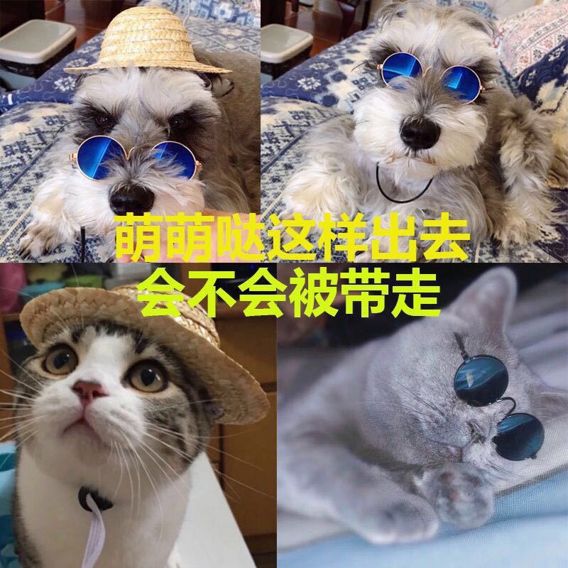 Mắt Kính Trang Trí Chụp Ảnh Cần Thiết Cho Thú Cưng Dễ Thương