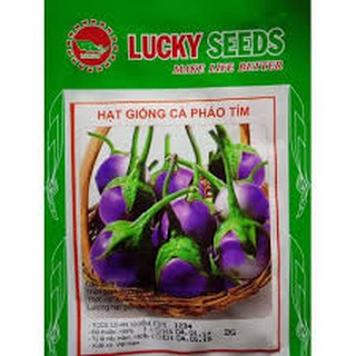 Hạt giống cà pháo tím (2g)