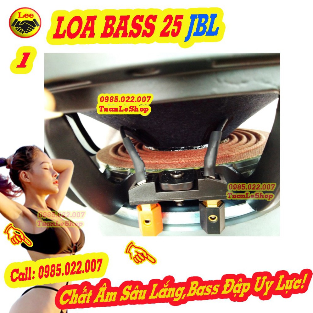 2 CỦ LOA BASS 25 LOA KARAOKE  JB L  – GIÁ 1 CẶP 2.5 TẤC