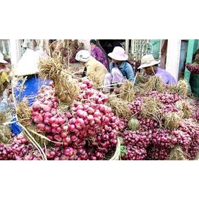 [Chính hãng] Hành tím Lý Sơn Dori - Túi lưới 1kg - Trồng tại đảo Lý Sơn - Cam kết đúng xuất xứ