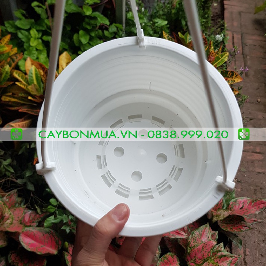 COMBO Chậu nhựa kèm đĩa xọc ngang cao câps