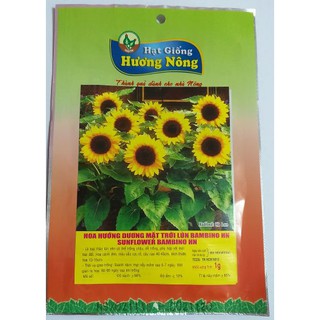 Hạt Hướng Dương Mặt Trời Lùn Bambino HN