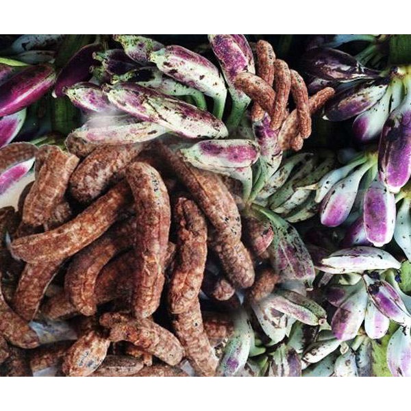 Chuối hột rừng khô thượng hạng JINDO 1kg tác dụng hỗ trợ điều tr_ị sỏi thận, táo bón