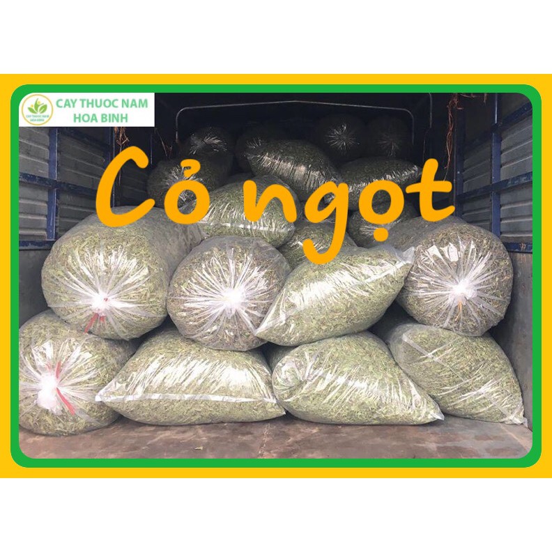  [GIÁ BÁN BUÔN] 1kg CỎ NGỌT CHUẨN 100% (CAM KẾT XANH, SẠCH, THƠM)