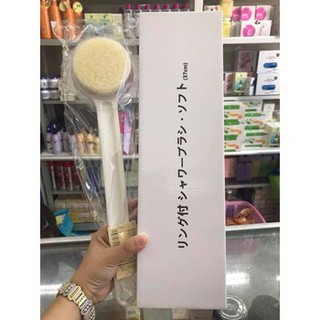 Cọ Kỳ Lưng Xuất Nhật Muji
