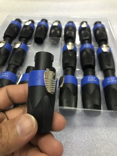 Một Cặp Jack Loa