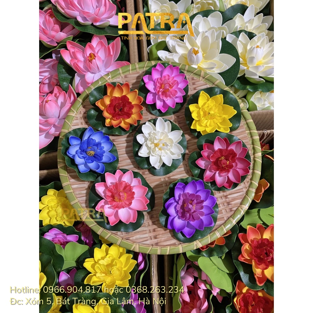 Hoa sen thả hồ trang trí tiểu cảnh, thả bát tụ thủy, thả hồ, thả bể cá