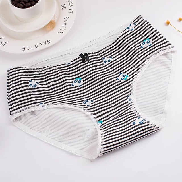 HỘP 04 QUẦN LÓT COTTON CHẤT ĐẸP (QL0024) | BigBuy360 - bigbuy360.vn