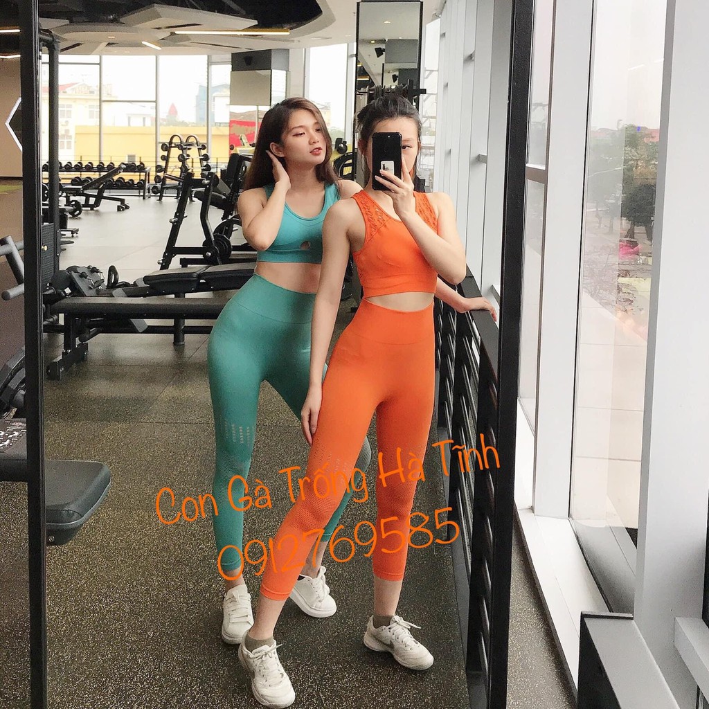 Quần Tập Gym Nữ Dệt Kim Đục Lỗ Quảng Châu Cao Cấp Bin Sports Q058