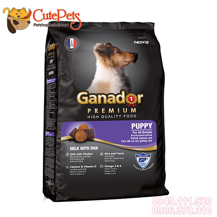 Thức ăn cho chó Ganador Puppy 400g vị sữa và DHA - Phụ kiện thú cưng Hà Nội