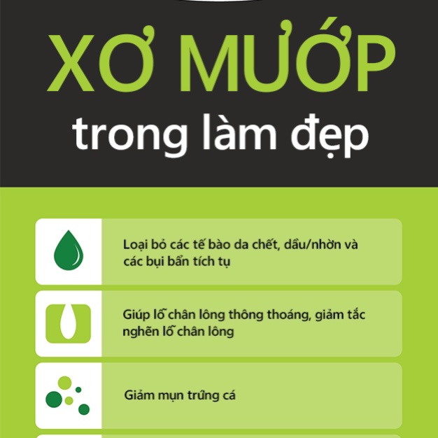 Combo 3 Trái Xơ Mướp Hữu Cơ Thiên Nhiên The Herbal Skin