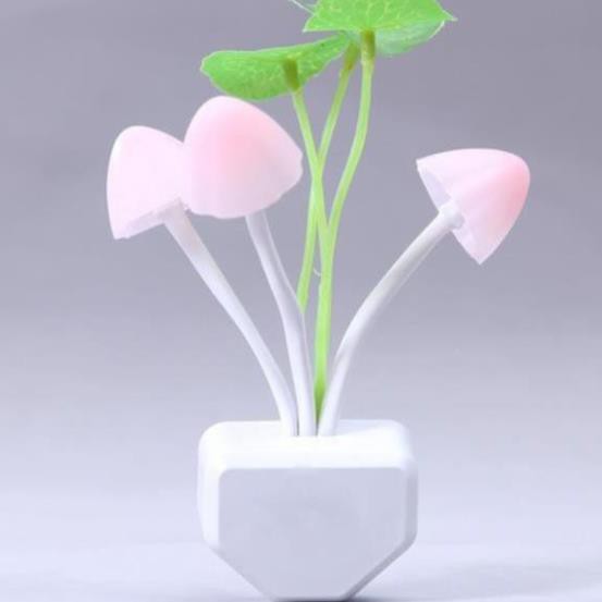 [RẺ VÔ ĐỊCH] ĐÈN NGỦ HÌNH NẤM CẢM ỨNG ĐỔI MÀU ÁNH SÁNG SIÊU HOTBẢO HÀNH 6 THÁNG