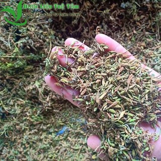 500g Hoa đu đủ đực