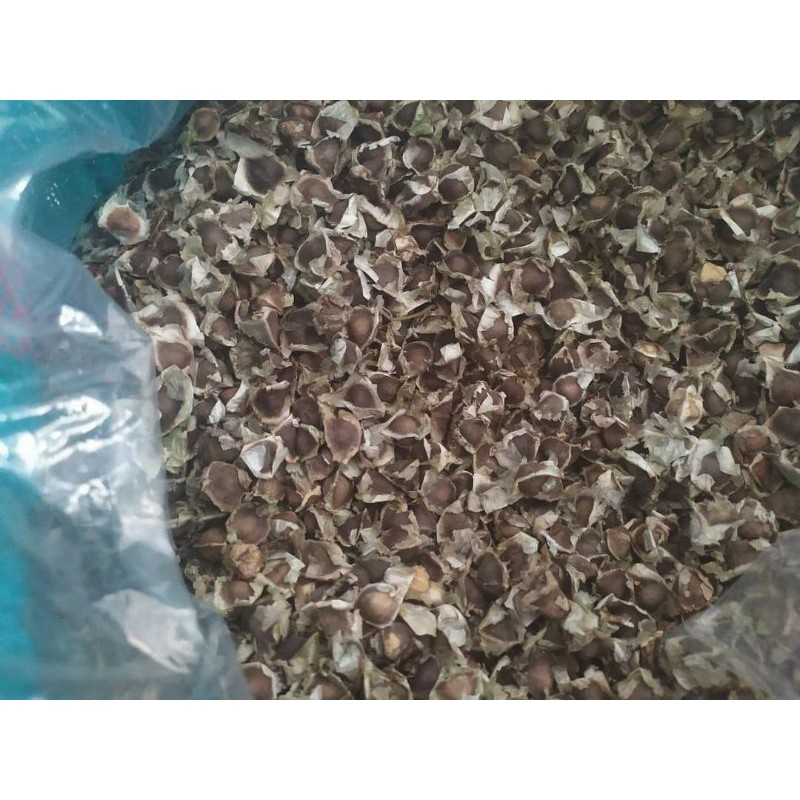 Hạt chùm ngây khô 1kg