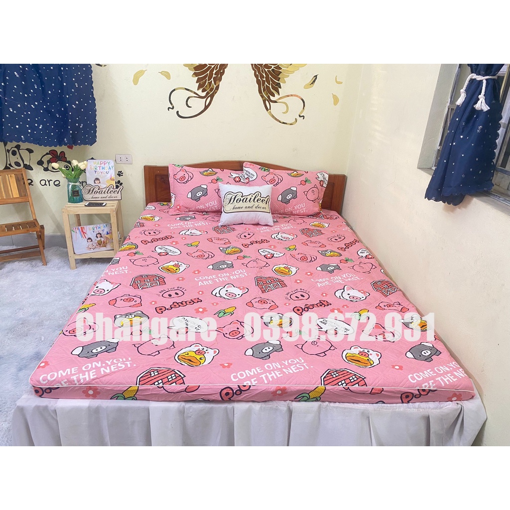 (Set 5 món) Bộ Chăn Ga Gối Trần Bông Ga Chun Ga Trải Giường Nhiều Kích Thước M6 M8 2M2