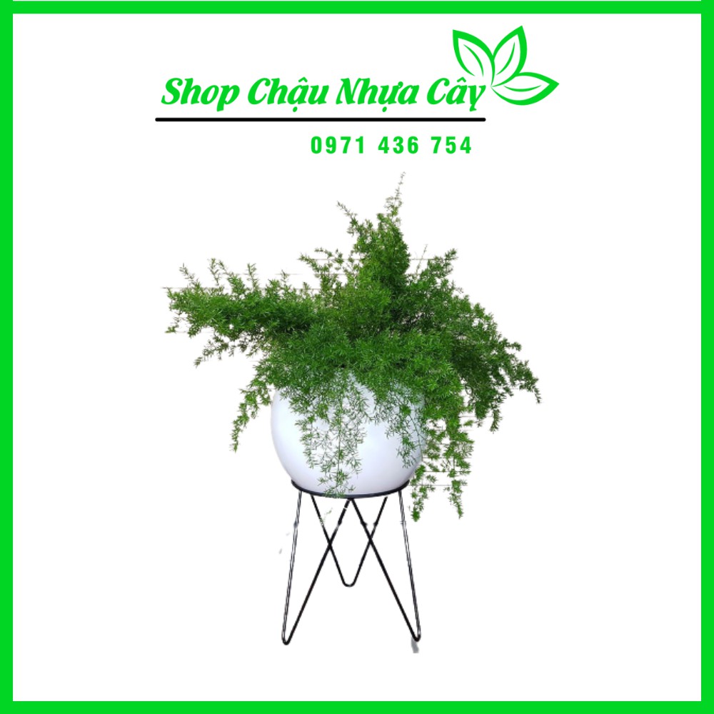 Kệ Sắt Kê Chậu Cây.
