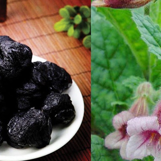 Thục địa khô thượng hạng Bách An Khang 1kg