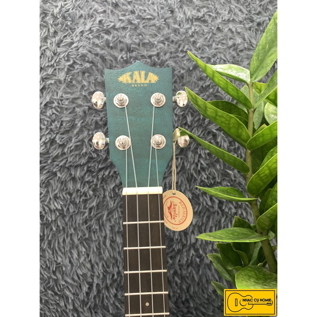 ĐÀN UKULELE TENOR GỖ CÒNG CƯỜM XANH