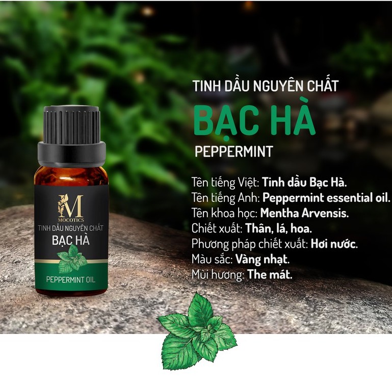 Combo Tinh dầu thiên nhiên xông phòng và đuổi muỗi cao cấp Mocotics gồm 2 lọ tinh dầu: Sả chanh 10ml + Bạc hà 10ml