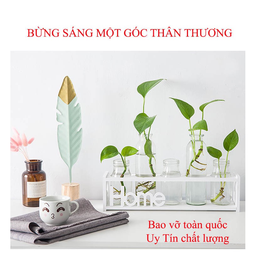 Kệ hoa văn phòng cửa hàng phòng khách Sweethome