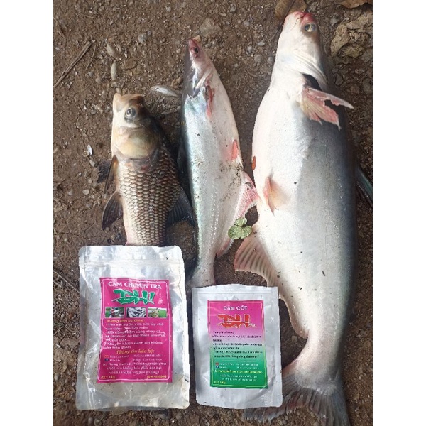 Combo Cám chuyên Tra ĐH1 + cám cốt ĐH