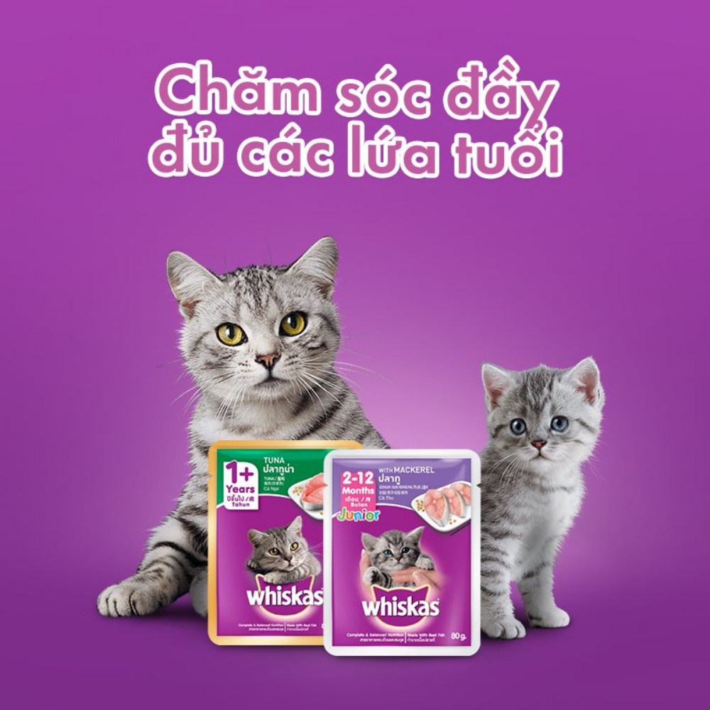 Pate WHISKAS® cho Mèo con vị Cá Thu túi 80g