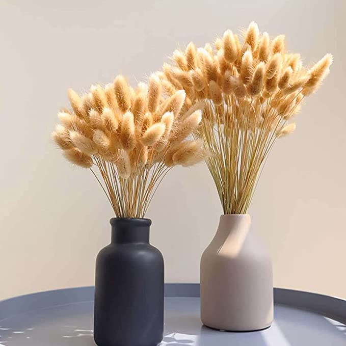 🌸Hoa khô Lagurus Bunny Tails vinttage🌸BÔNG CỎ ĐUÔI THỎ/ CỎ LAU MỸ 🌸 Decor, trang trí, phụ kiện chụp ảnh