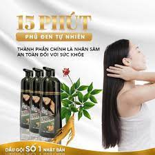 Dầu gội phủ bạc Sin hair nhân sâm Nhật Bản - tóc đen nâu đều màu [ Hàng chính Hãng ]