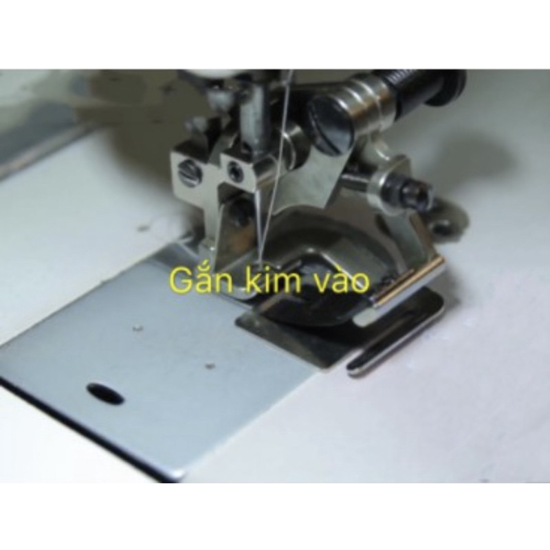 Chân vịt xếp ly máy công nghiệp